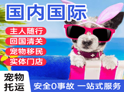 龙湾机场快递国际宠物托运 【国